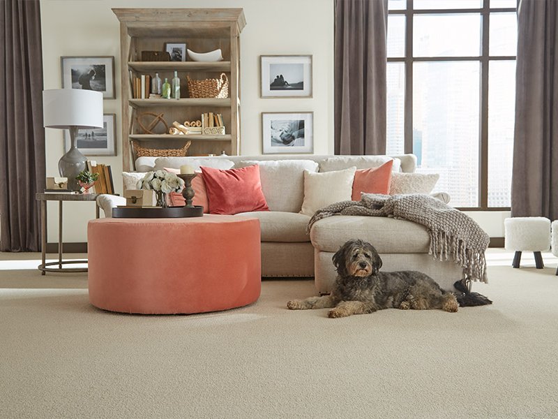 Living room with carpet flooring